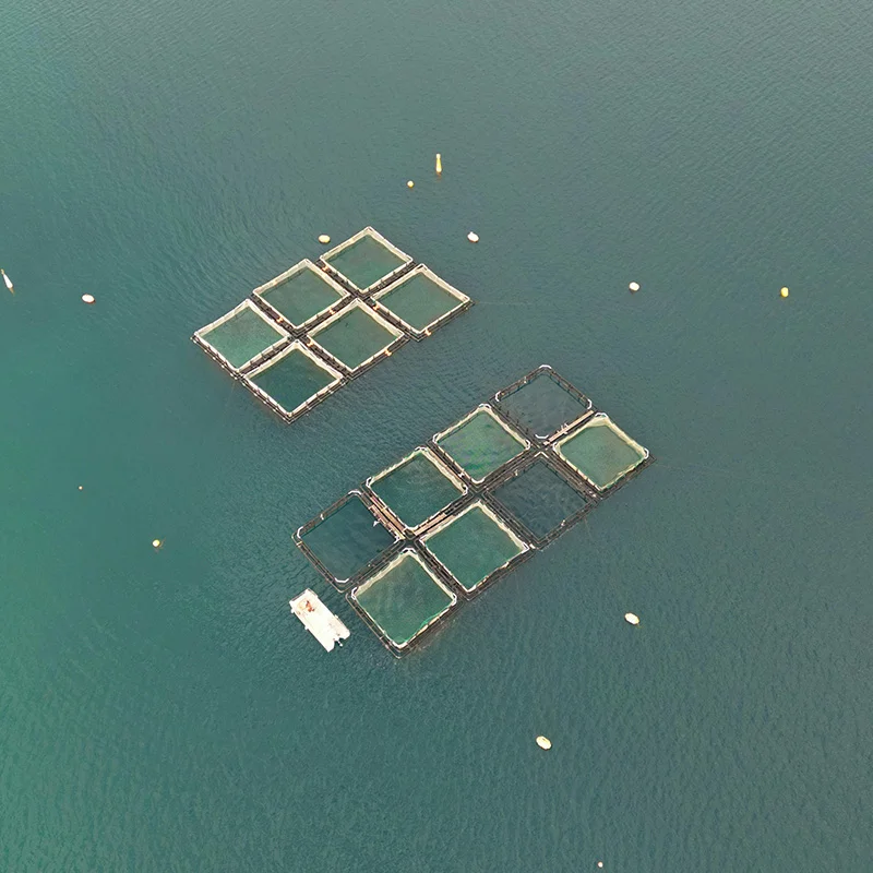 Seawater aquaculture
