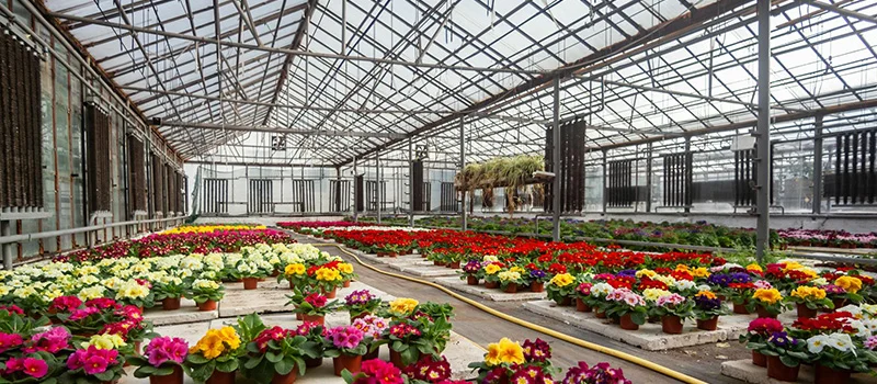 Smart greenhouse environmental control