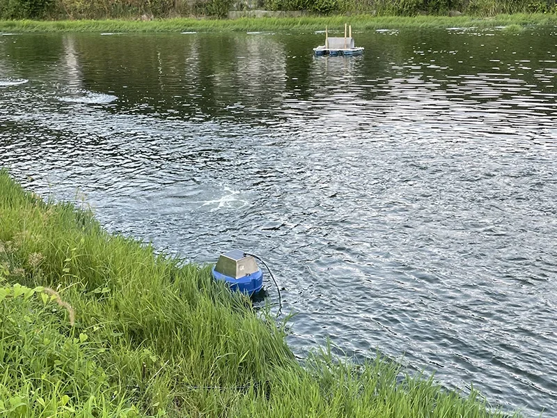 Representative shrimp farm monitoring scene